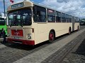 Trammoldie   032